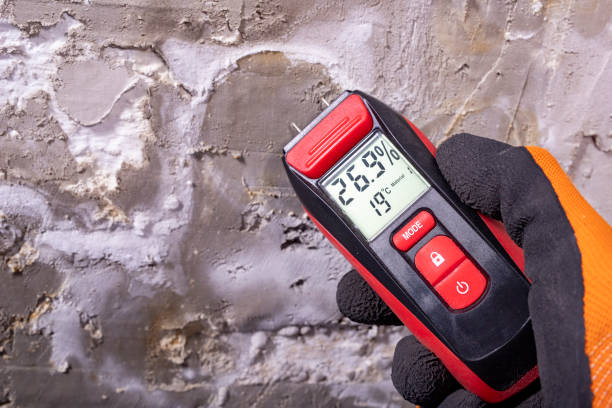 Attic Mold Removal in Logan Elm Village, OH