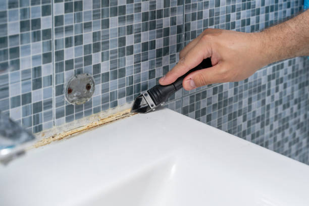 Best Affordable Mold Removal  in Logan Elm Village, OH